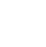 Wedding Aliens logo